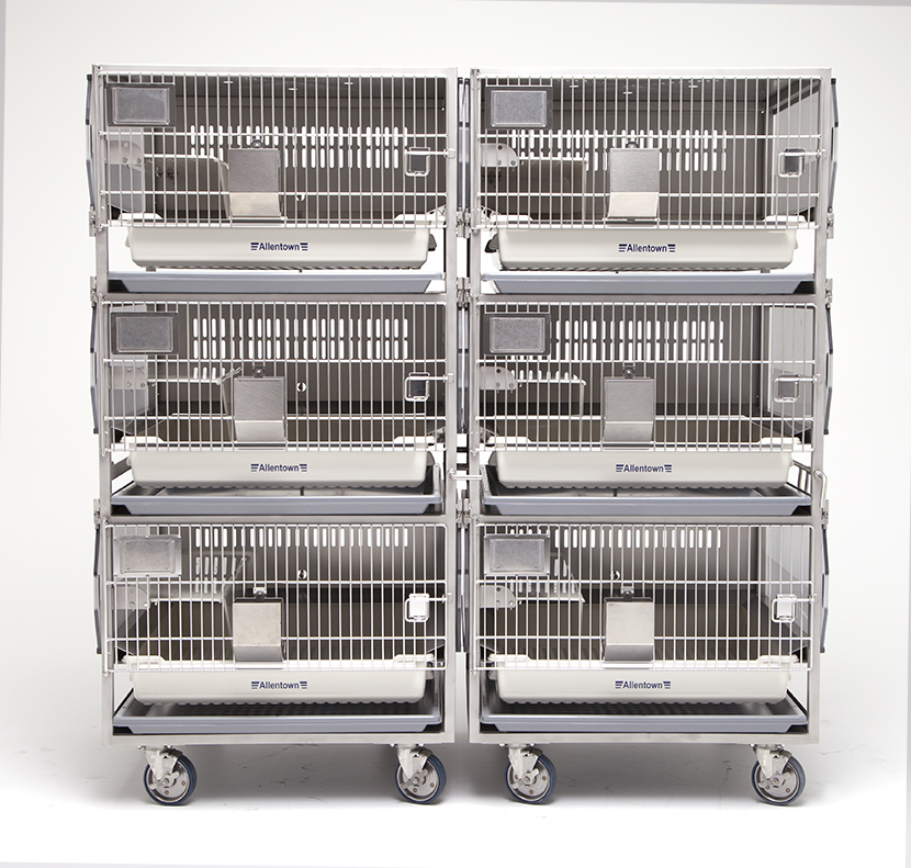 Best Little Rabbit Rodent & Ferret House at Margurite Stokes blog